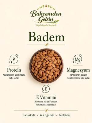 Bütün badem içi bilgi kartı