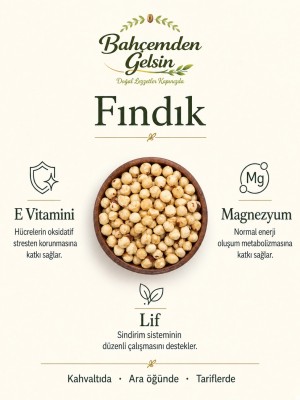 Fındık İçi bilgi kartı