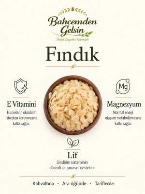 File Fındık bilgi kartı