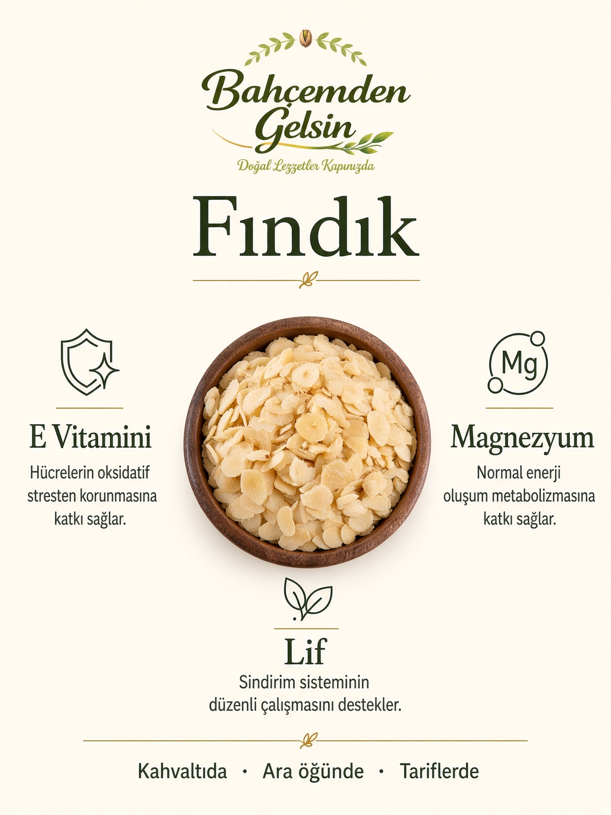 File Fındık bilgi kartı