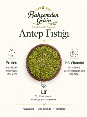 Pirinç Antep Fıstığı Bilgi Kartı