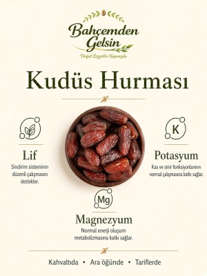 4 Kudüs Hurması bilgi kartı