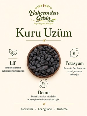 Siyah kuru üzüm bilgi kartı