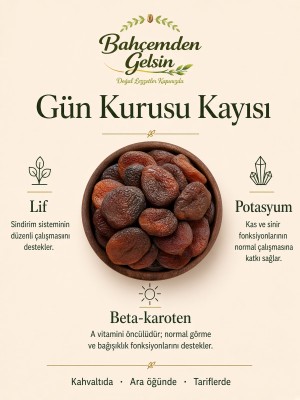 Gün Kurusu Kayısı bilgi kartı