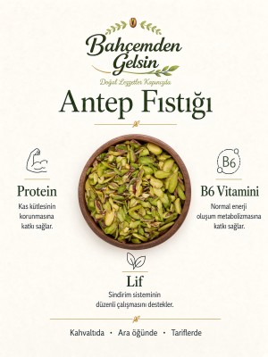 File Antep Fıstığı Bilgi Kartı