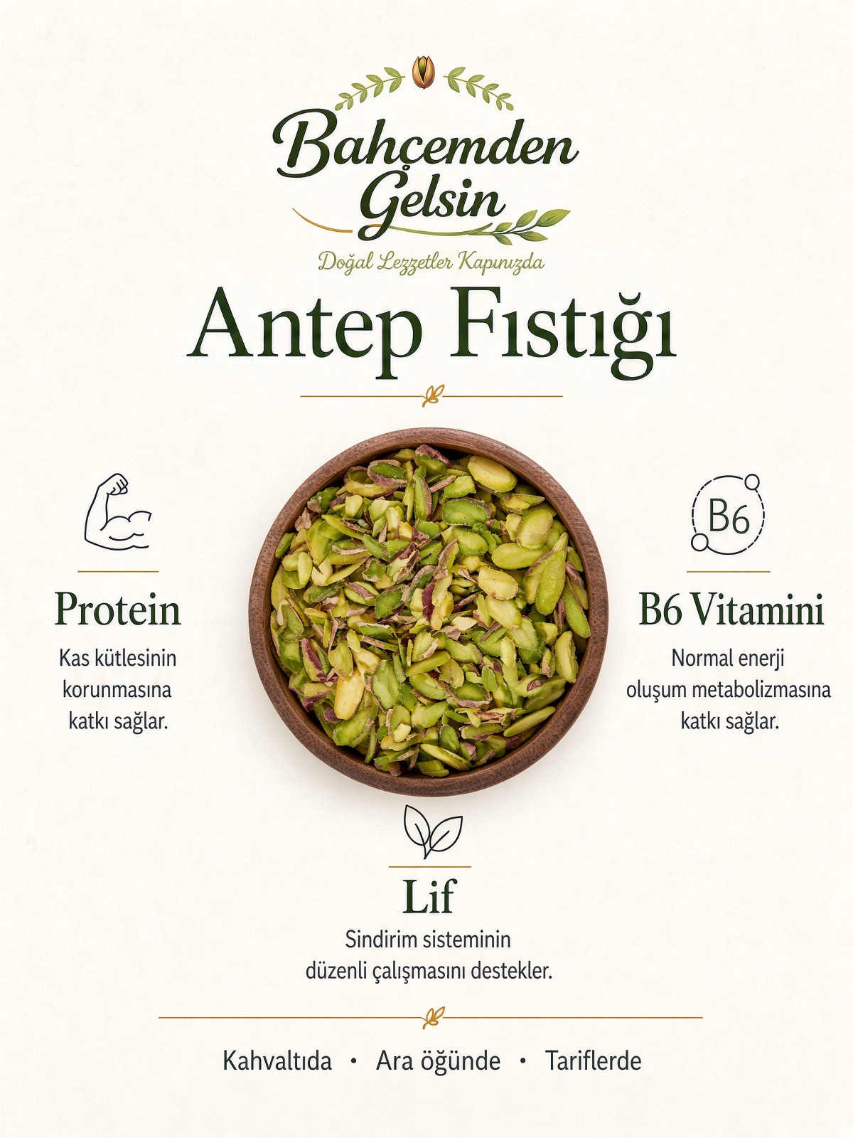 File Antep Fıstığı Bilgi Kartı