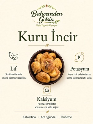 4_4 Bütün kuru incir taneleri bilgi kartı
